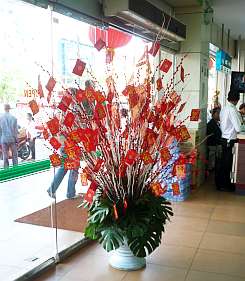 Display in a large supermarket