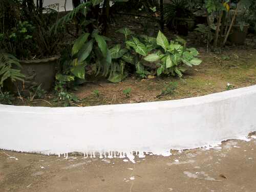 Newly painted curb in the Maryknoll office