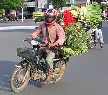 Flowers going to market