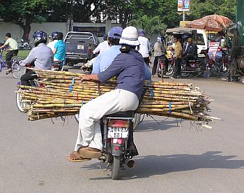 A load of sugarcane