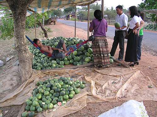 Buying watermelons on a rural highway