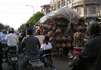 Ox cart in traffic