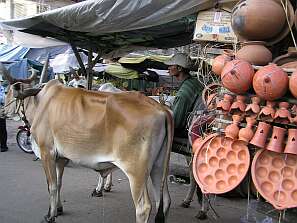 Ox cart from Kampong Chhnang