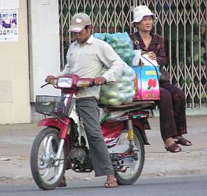 Just an every day load of vegetables