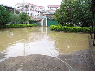 Mud in sisters' yard