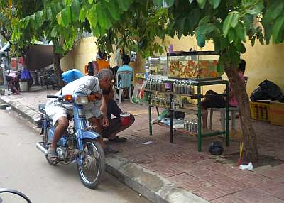 Sidewalk goldfish vendor