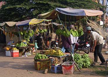 Early mangoes for sale