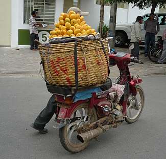Selling mangoes on the street