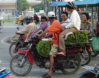 Getting high on vegetables