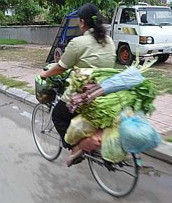 Bicycle loaded with vegetables