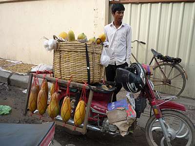 Selling papayas