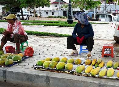 Papayas for sale on the street