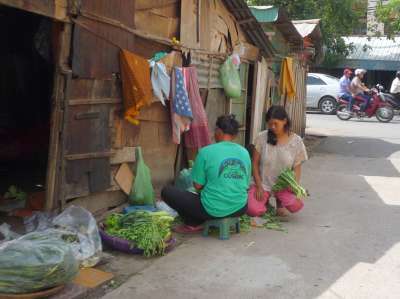 Preparing vegetables