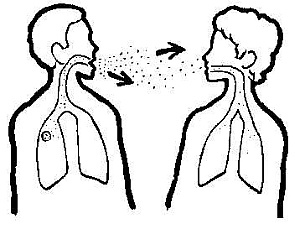 Tuberculosis