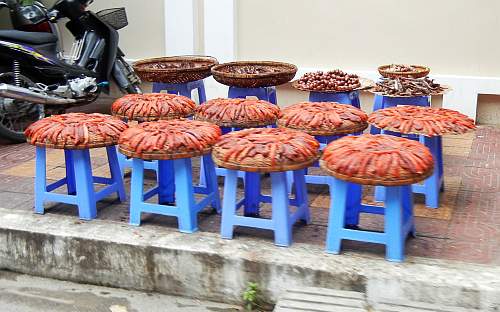 Fish drying on the street