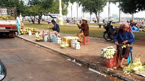 Selling lotus blossoms near the palace