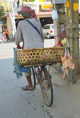 Bicycle vendor with chickens