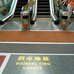 Anti-SARS carpeting